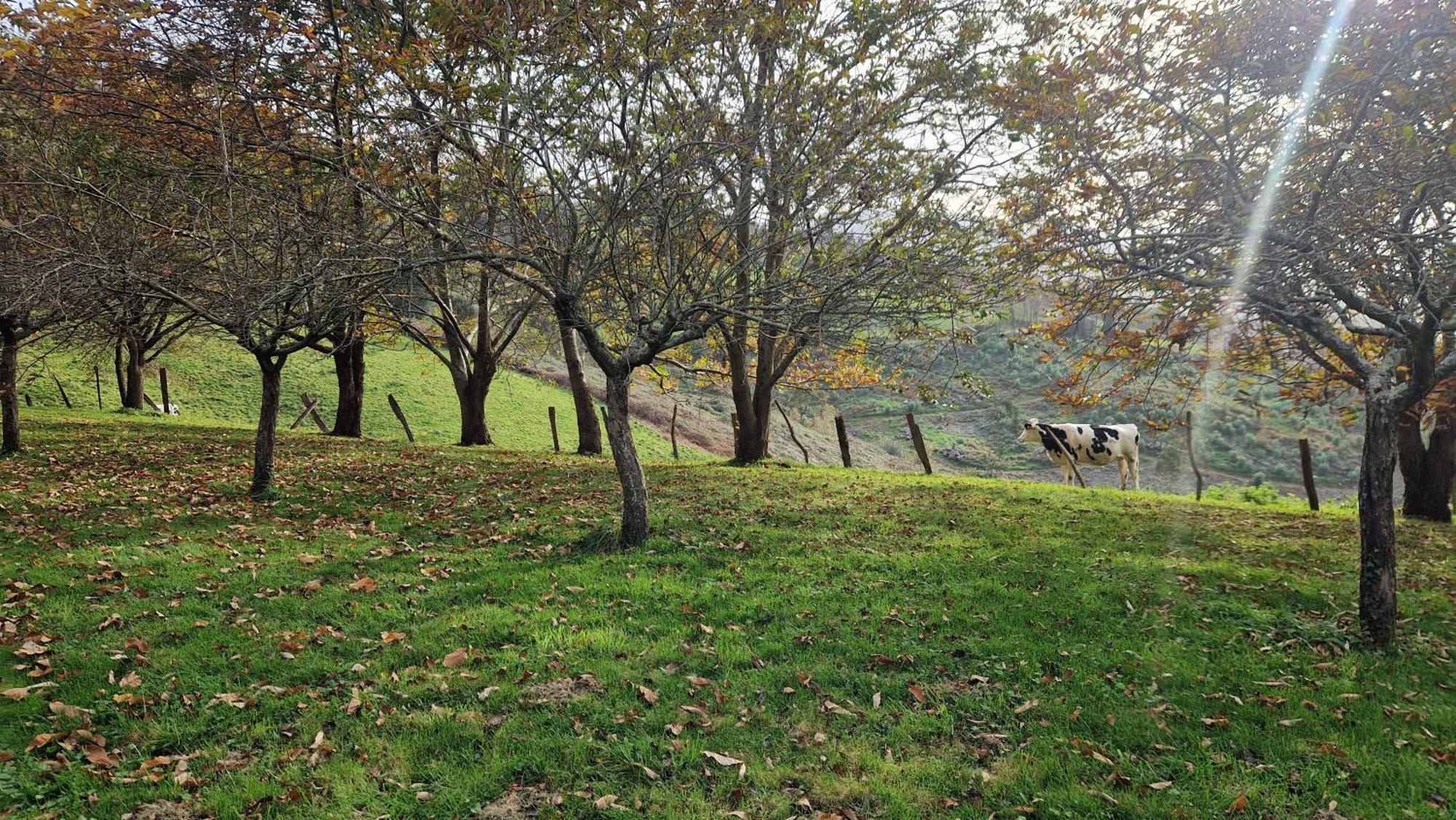 Casa Bezales En Ampuero Cantabria Bagian luar foto